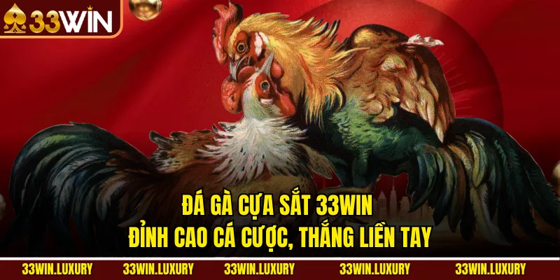 Đá Gà Cựa Sắt 33win – Đỉnh Cao Cá Cược, Thắng Liền Tay