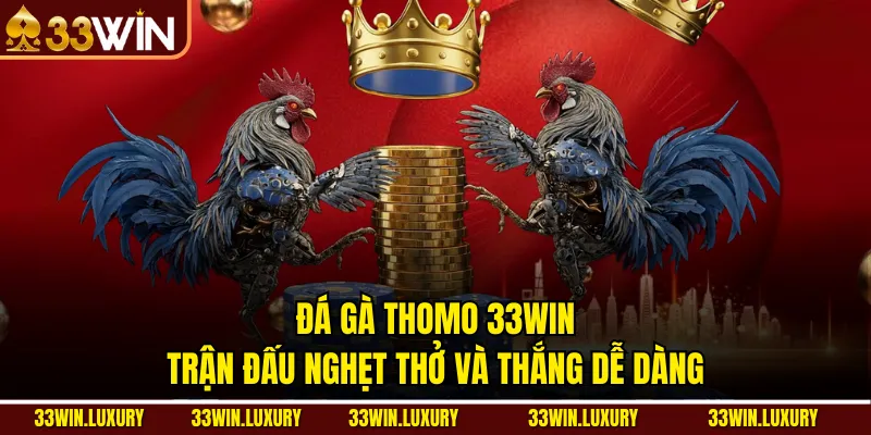 Đá Gà Thomo 33win: Trận Đấu Nghẹt Thở Và Thắng Dễ Dàng